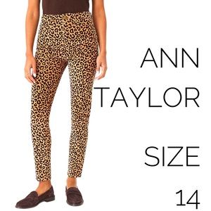 Ann Taylor leopard print high rise skinny corduroy pants in wine shadow size 14